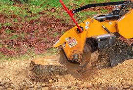 Grass Overseeding in Milton, FL